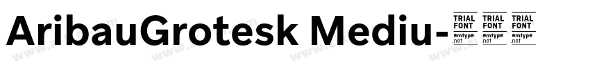 AribauGrotesk Mediu字体转换